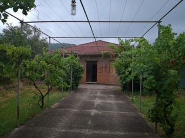 pentavano in vendita a Filadelfia