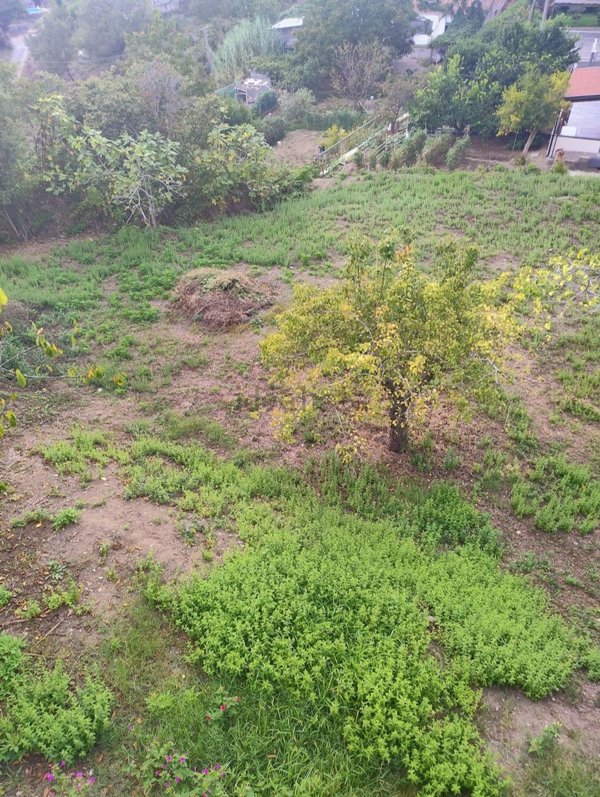 terreno edificabile in vendita a Francavilla Angitola