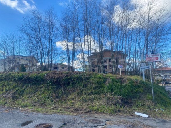 terreno agricolo in vendita ad Ionadi in zona Vena