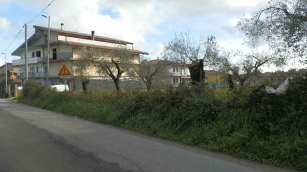terreno agricolo in vendita ad Ionadi in zona Vena