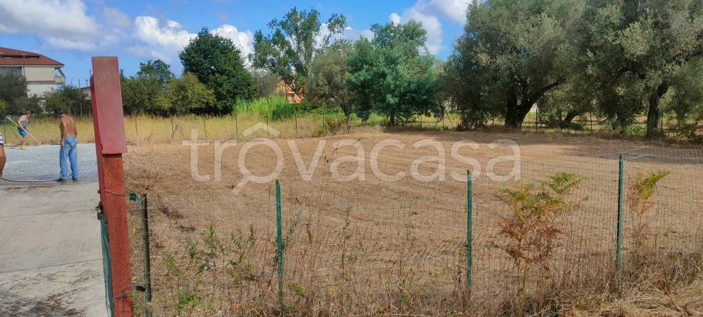 terreno agricolo in vendita ad Ionadi in zona Vena