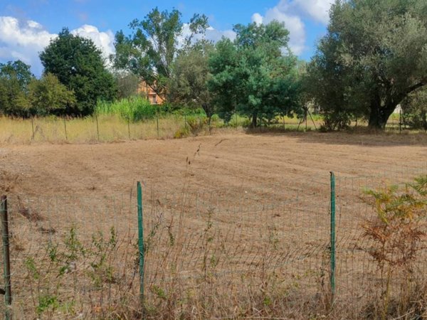 terreno agricolo in vendita ad Ionadi in zona Vena