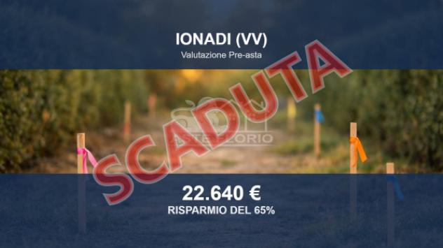 terreno agricolo in vendita ad Ionadi