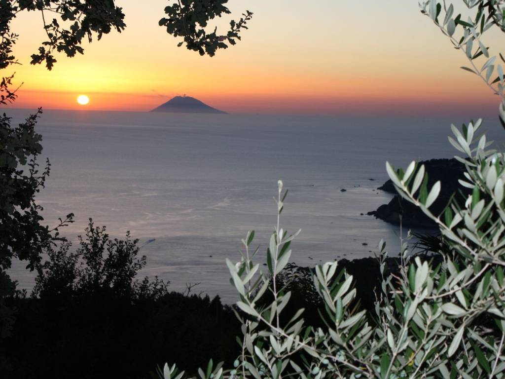 immagine annuncio 0 di 15