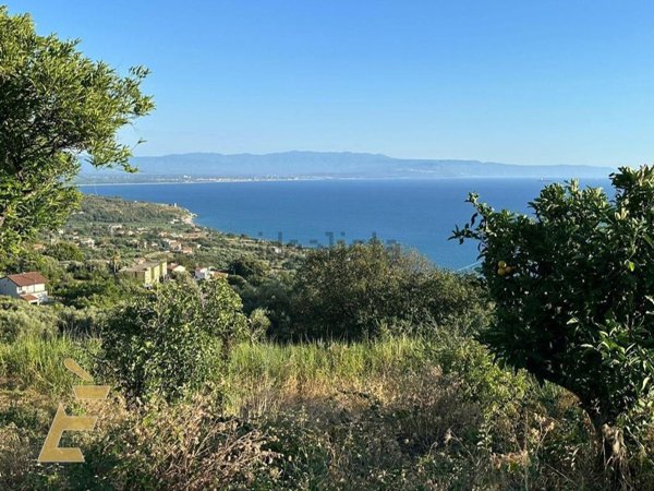pentavano in vendita a Joppolo