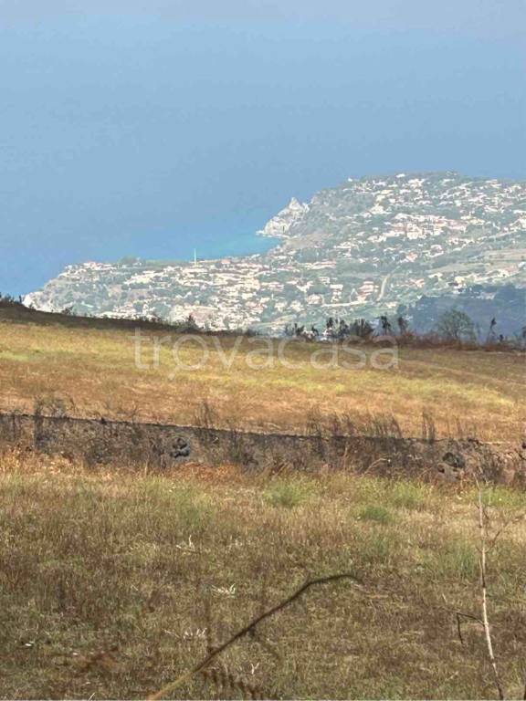 terreno agricolo in vendita a Joppolo