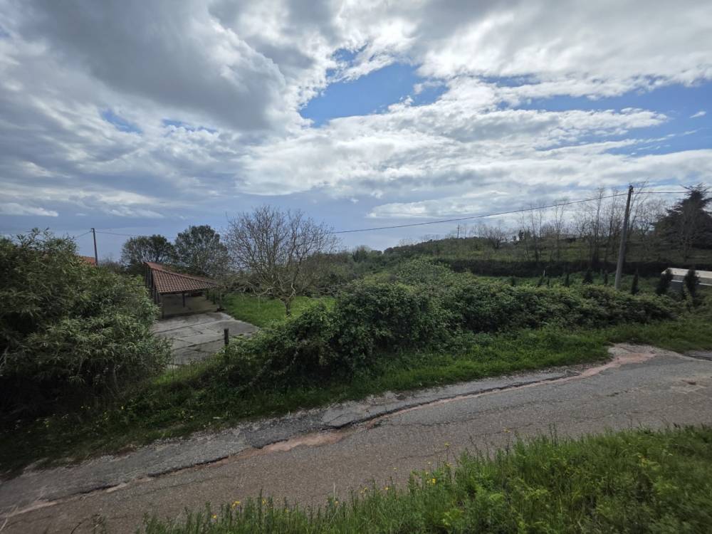 casa indipendente in vendita a Joppolo