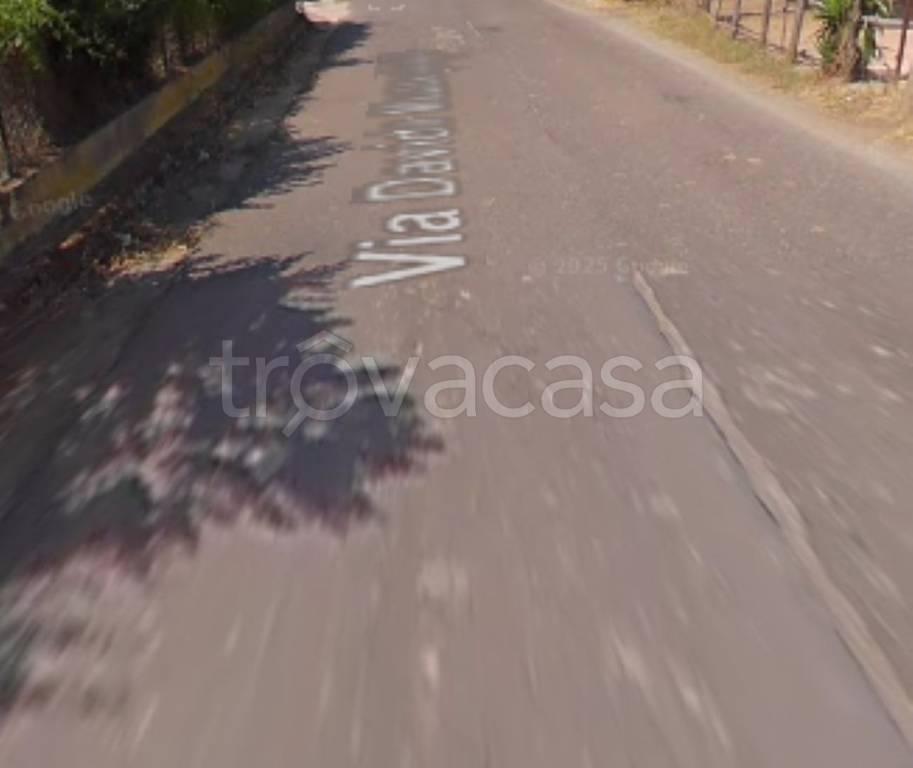 terreno agricolo in vendita a Limbadi