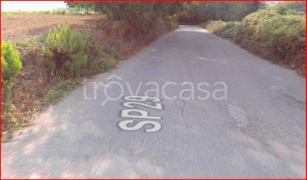 terreno agricolo in vendita a Limbadi