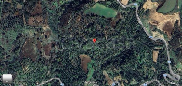 terreno agricolo in vendita a Limbadi