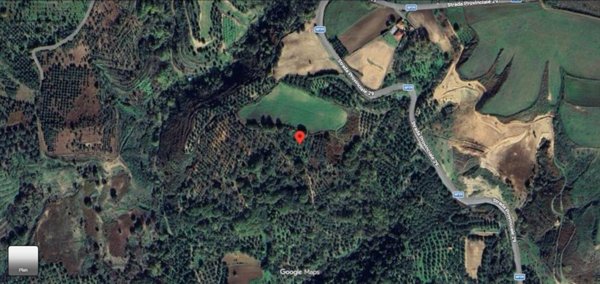 terreno agricolo in vendita a Limbadi