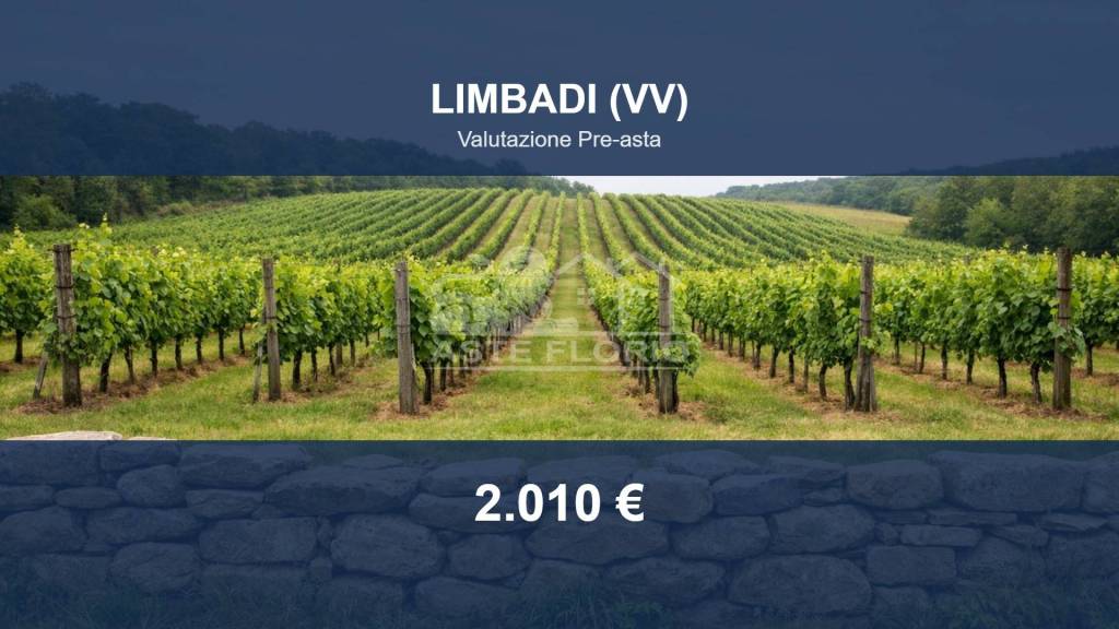 terreno agricolo in vendita a Limbadi in zona Mandaradoni
