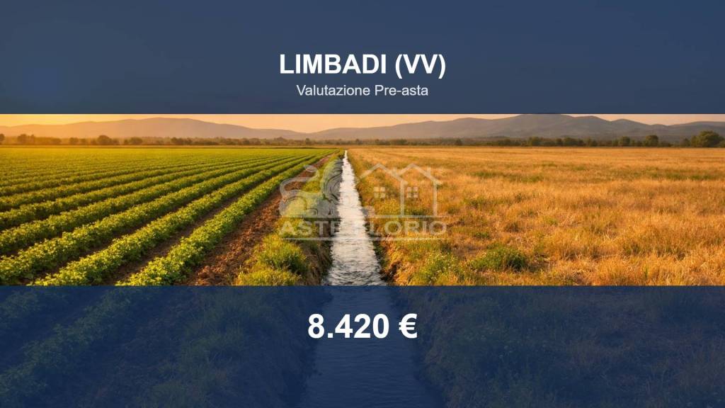 terreno agricolo in vendita a Limbadi