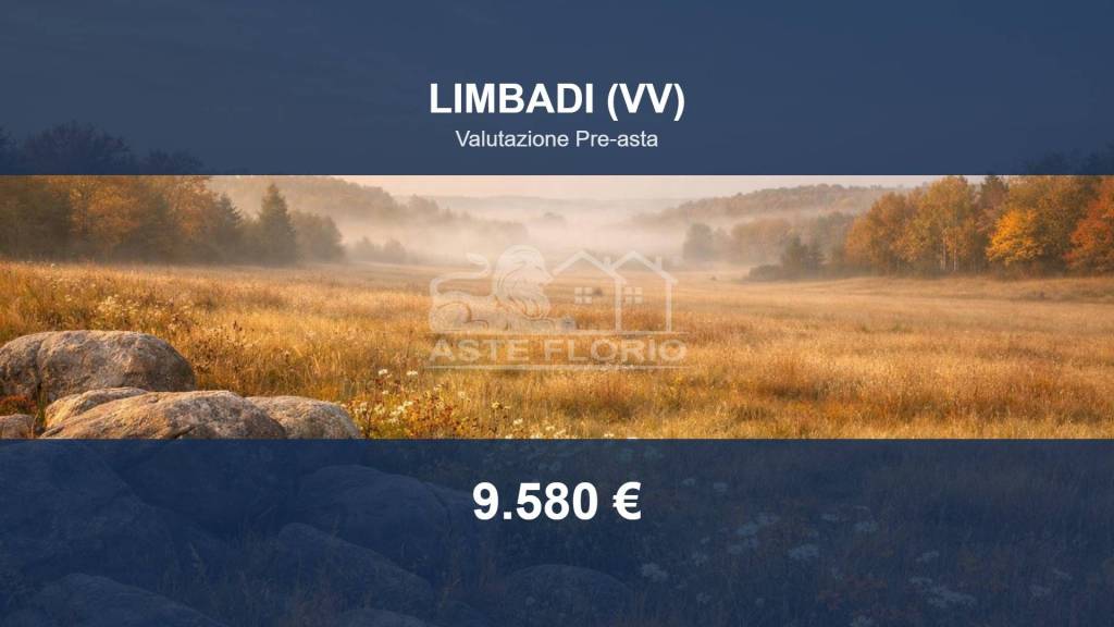 terreno agricolo in vendita a Limbadi