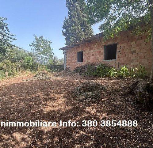 locale commerciale in vendita a Mileto
