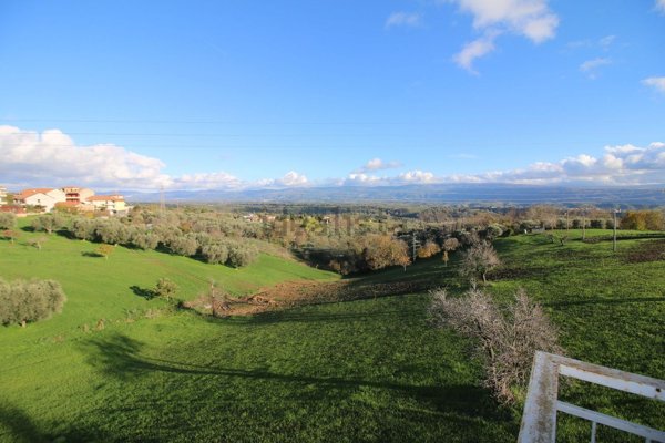 appartamento in vendita a Mileto