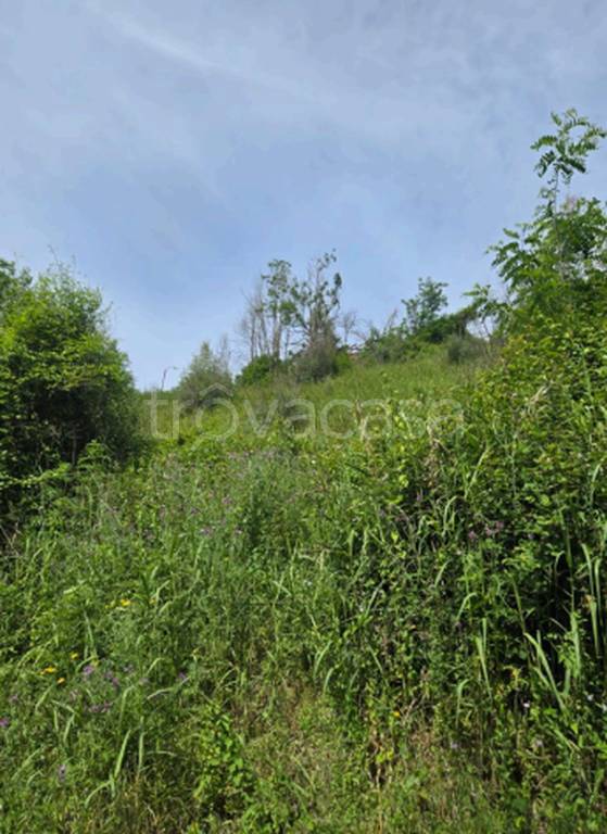 terreno agricolo in vendita a Mileto