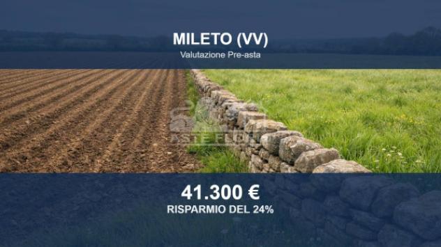 terreno agricolo in vendita a Mileto