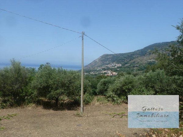 casa indipendente in vendita a Nicotera