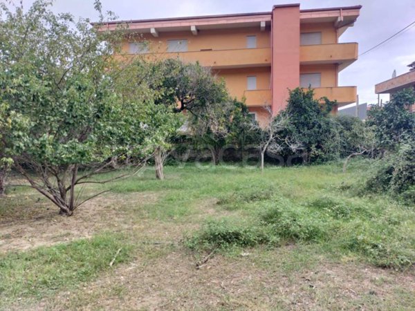 terreno agricolo in vendita a Nicotera