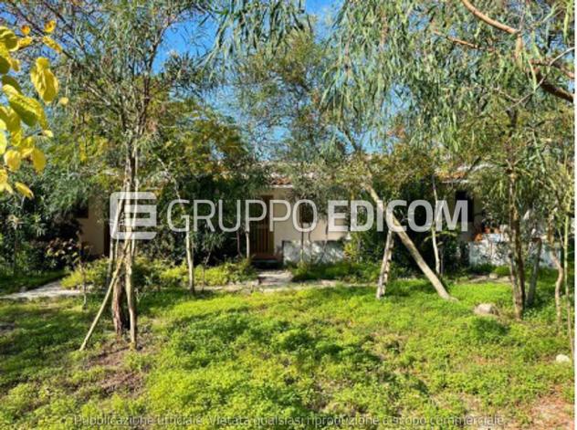 negozio in vendita a Nicotera