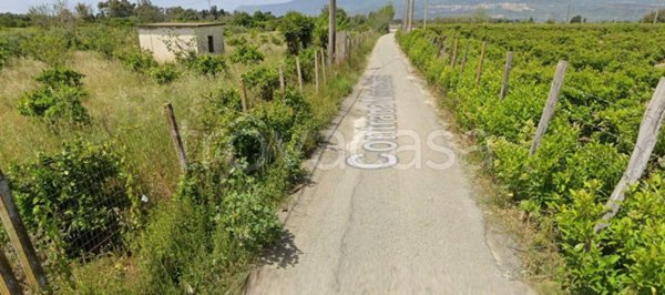 negozio in vendita a Nicotera