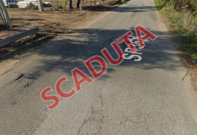 pentavano in vendita a Nicotera