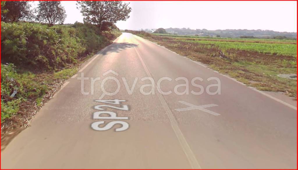 terreno agricolo in vendita a Nicotera