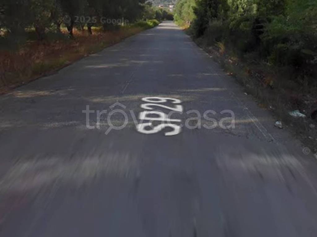 terreno agricolo in vendita a Nicotera