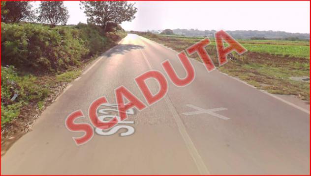 terreno agricolo in vendita a Nicotera