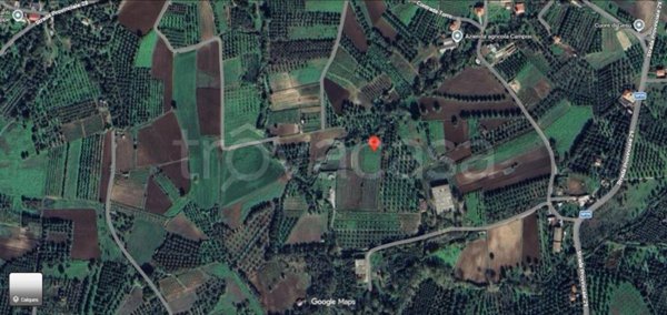 terreno agricolo in vendita a Nicotera