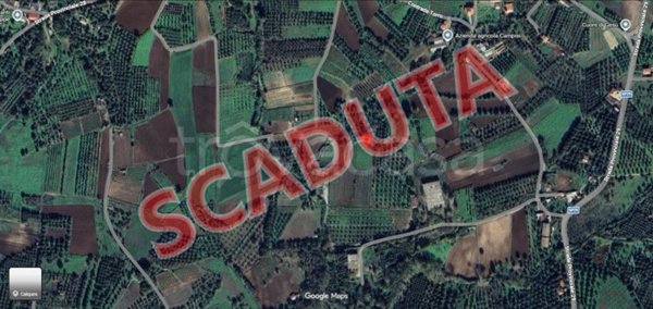 terreno agricolo in vendita a Nicotera