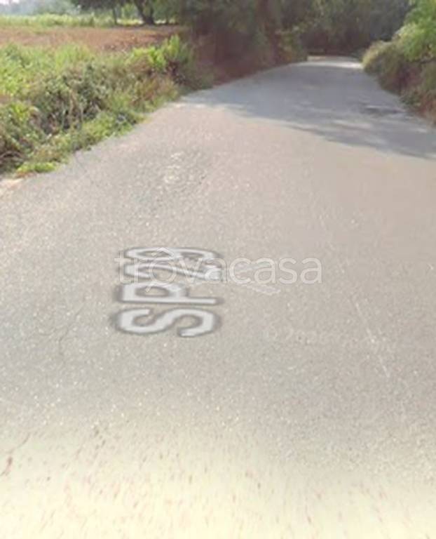 terreno agricolo in vendita a Nicotera