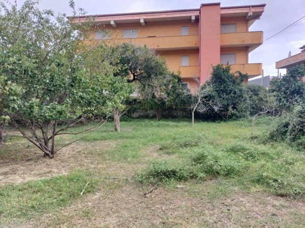 terreno agricolo in vendita a Nicotera