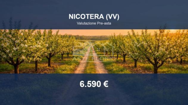 terreno agricolo in vendita a Nicotera