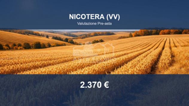 terreno agricolo in vendita a Nicotera
