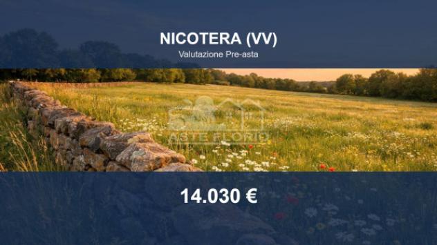 terreno agricolo in vendita a Nicotera