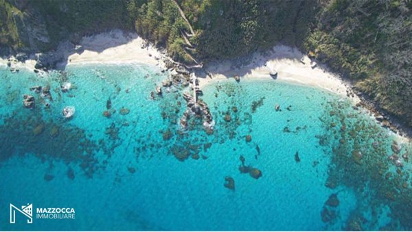 appartamento in vendita a Parghelia