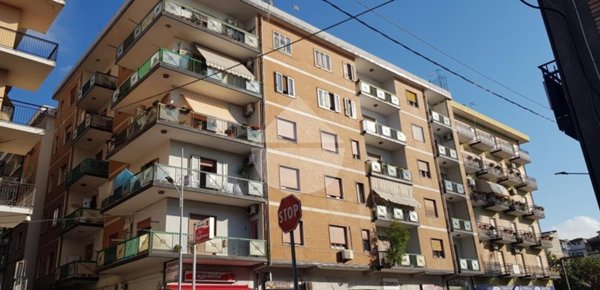 appartamento in vendita a Pizzo
