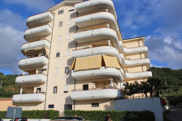 appartamento in vendita a Pizzo