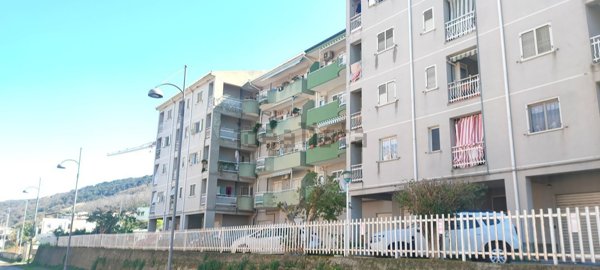 appartamento in vendita a Pizzo