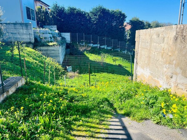 terreno agricolo in vendita a Pizzo