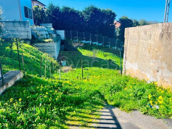 terreno agricolo in vendita a Pizzo