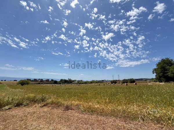 terreno agricolo in vendita a Pizzo