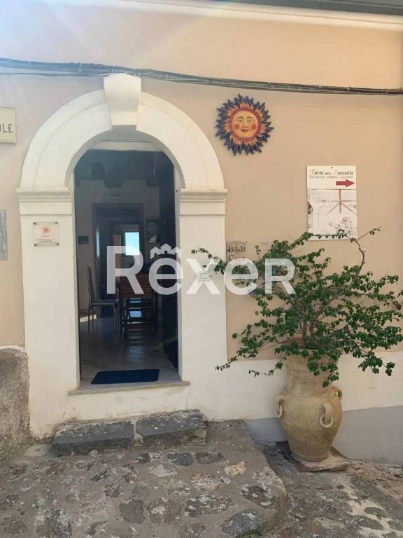 casa indipendente in vendita a Pizzo