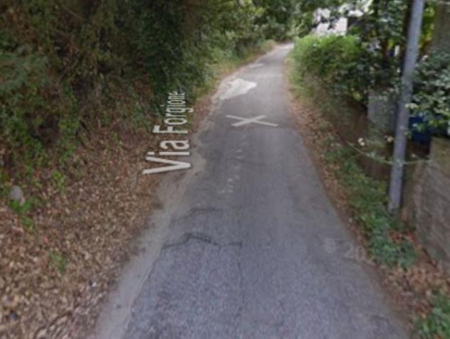 terreno agricolo in vendita a Ricadi