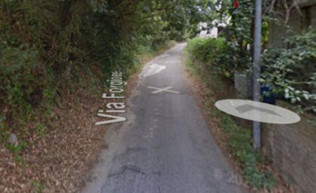 terreno agricolo in vendita a Ricadi