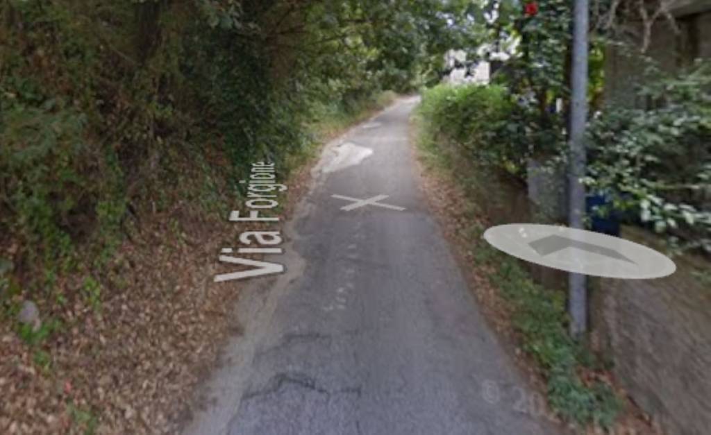 immagine annuncio 0 di 10