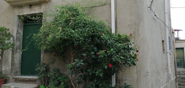 casa indipendente in vendita a Ricadi in zona Santa Domenica