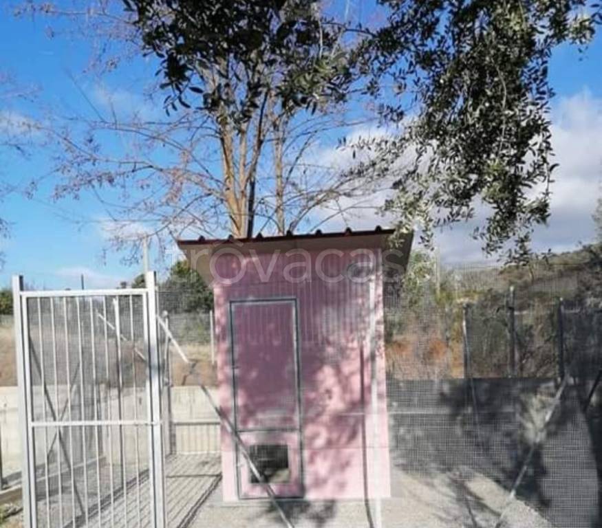 negozio in vendita a Ricadi